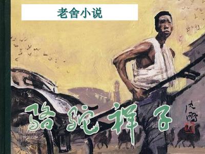深入了解 97人澡人人添人